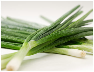The Muranaka Green Onion