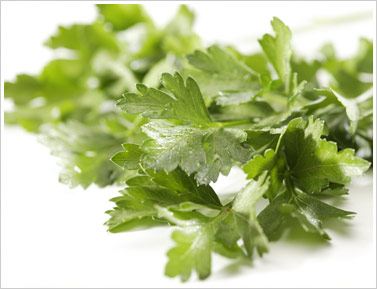 The Muranaka Italian Parsley