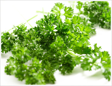 The Muranaka Parsley